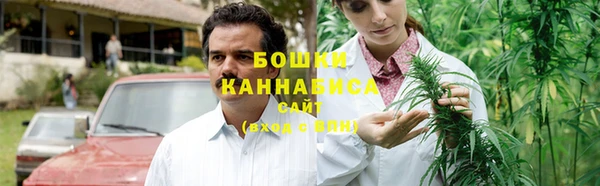 PSILOCYBIN Дмитров