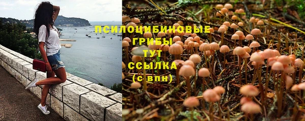 герыч Дмитровск