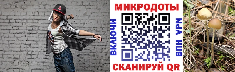 Псилоцибиновые грибы прущие грибы  Мостовской 
